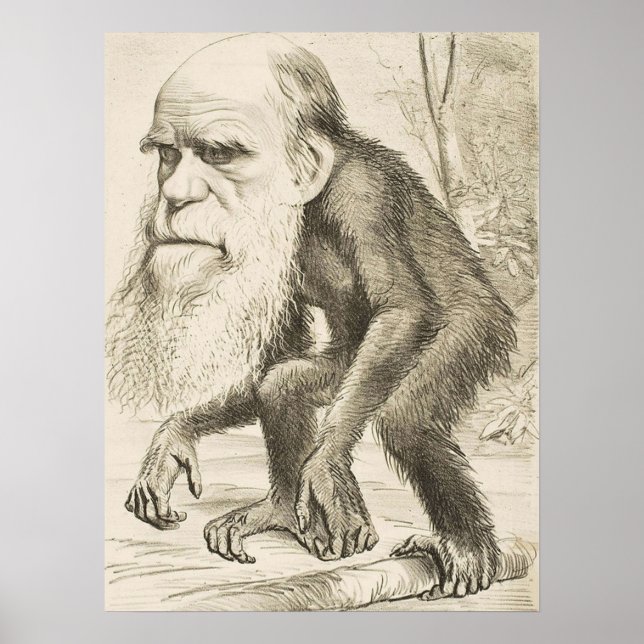 Poster EVOLUTION DARWIN Charles Robert Darwin 1871 carica (Frente)