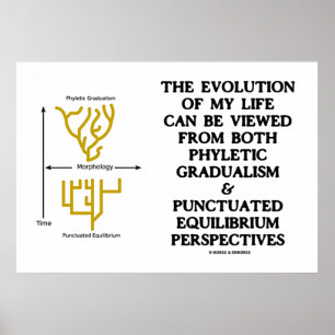Pôster Evolution Phyletic Gradualism Pontuou Equilibrm