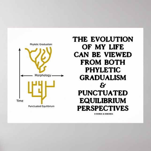 Pôster Evolution Phyletic Gradualism Pontuou Equilibrm (Frente)