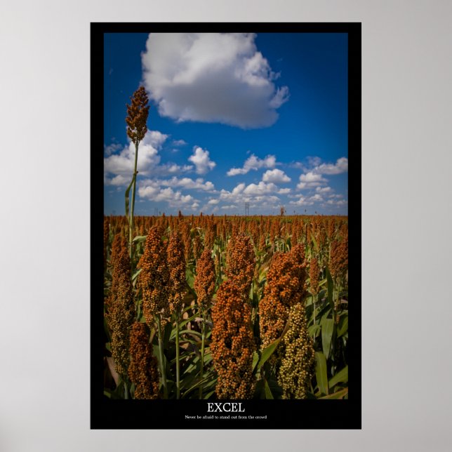 Poster Excel (Frente)