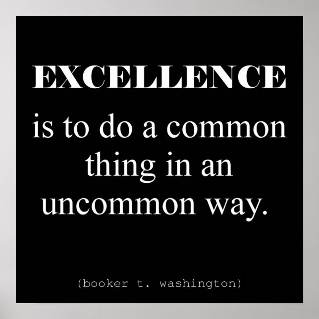 Pôster Excelência (Frente)