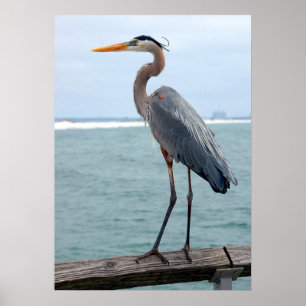 poster Excelente Azul Heron