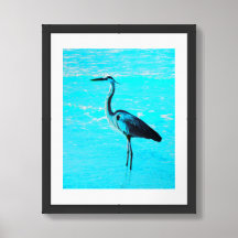 Excelente Blue Heron