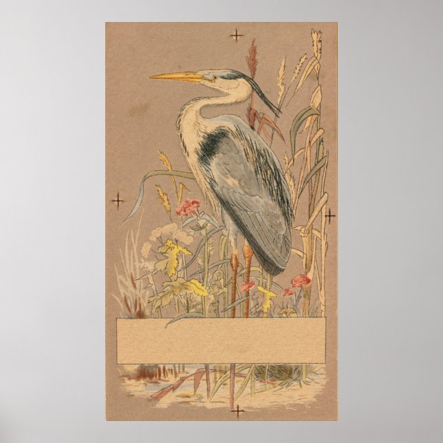 Poster Excelente Blue Heron (Frente)