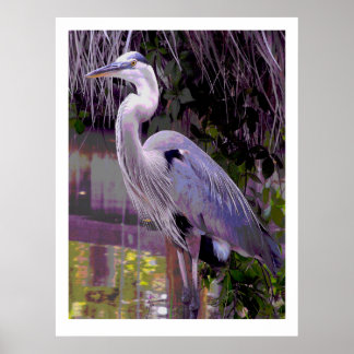 Poster Excelente Blue Heron