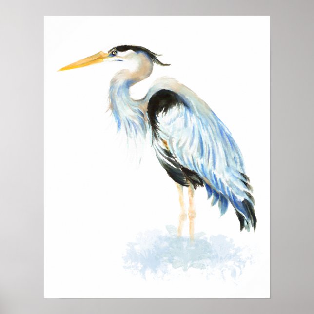 Pôster Excelente Blue Heron Watercolor Art (Frente)