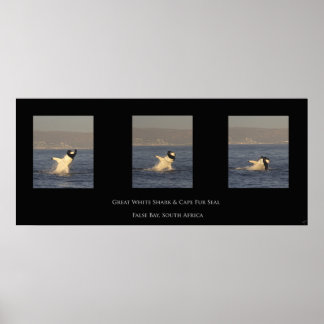 Poster Excelente branco toma selo