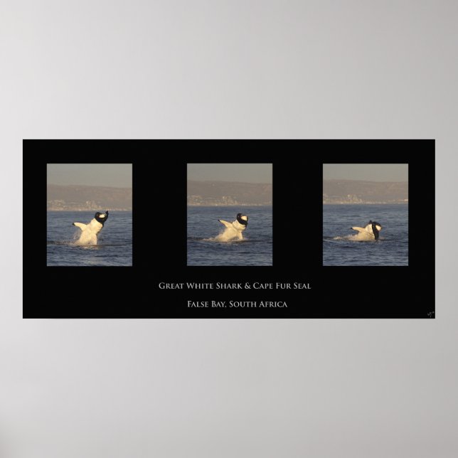 Poster Excelente branco toma selo (Frente)