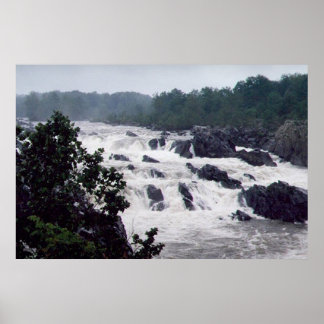 Poster Excelente cai