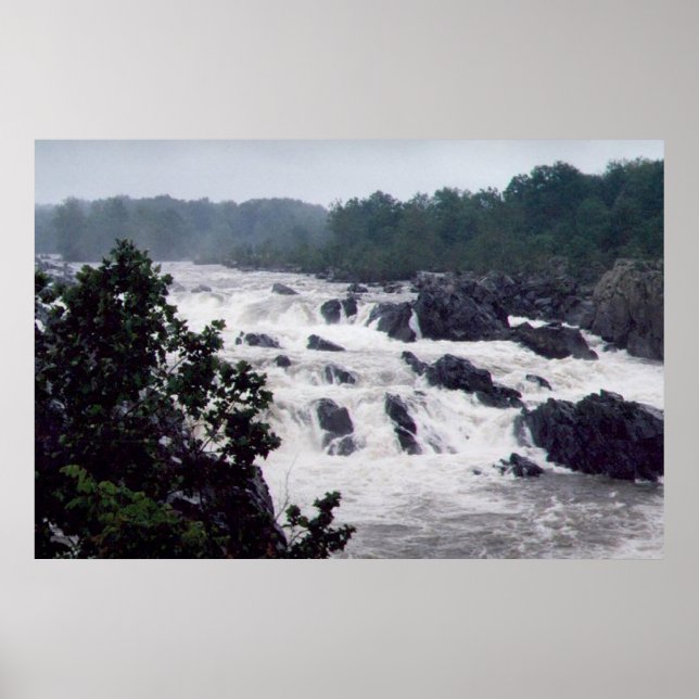 Poster Excelente cai (Frente)