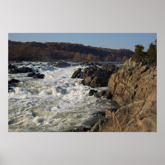 Pôster Excelente cai, MD (Frente)