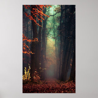 Pôster Excelente da Natureza