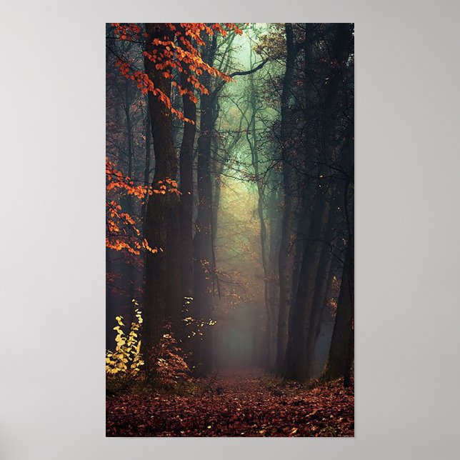 Pôster Excelente da Natureza (Frente)