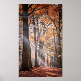 Pôster Excelente da Natureza