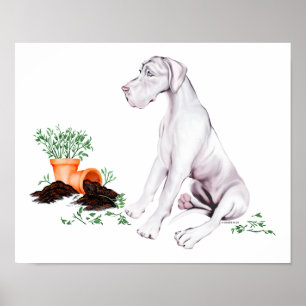 Pôster Excelente Dane Naughn White Pup