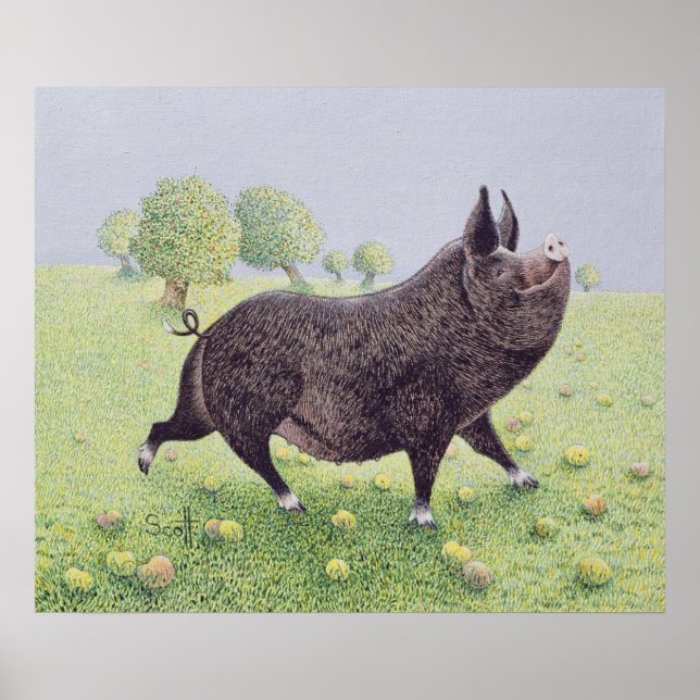 Pôster Excelente de sensação (Frente)