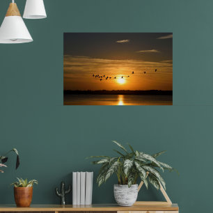 Poster Excelente Herões Ao Sunset