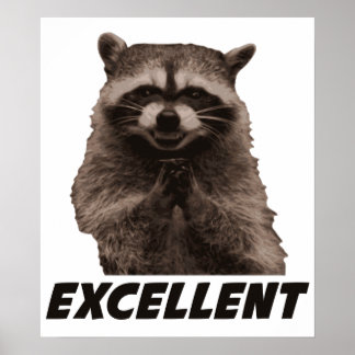 Pôster Excelente Mau Plotting Raccoon