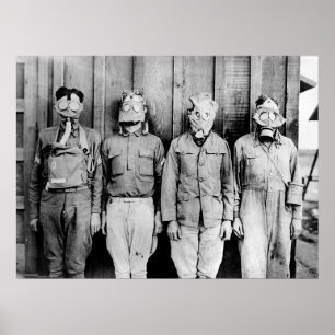 Poster Excursão do mundo de máscaras de gás
