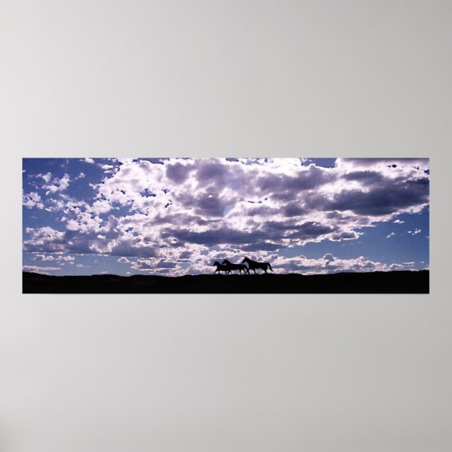 Pôster Executando Gratuito 2 (Frente)