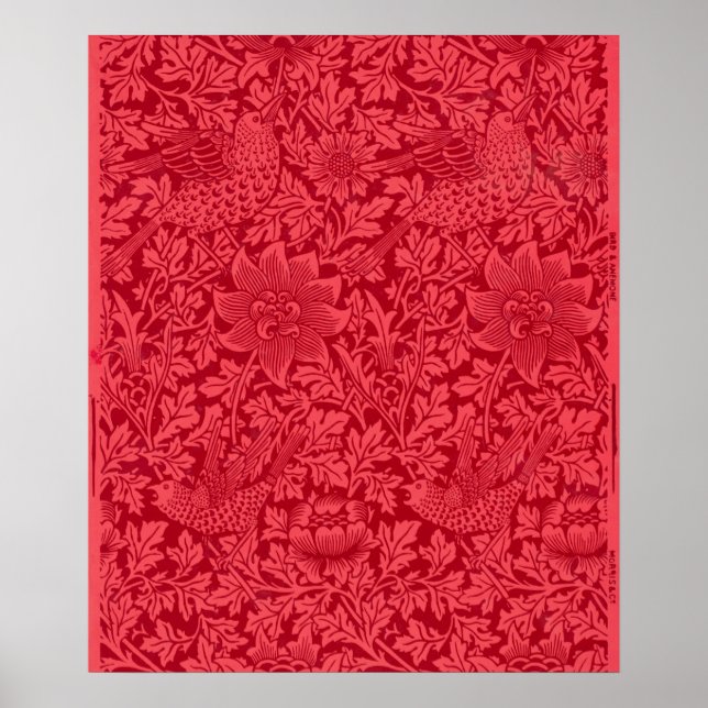 Poster Exemplo de Bird, Anemone Wallpaper de Morris (Frente)