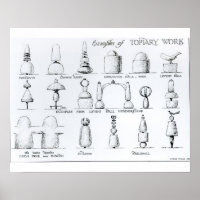 Exemplos de trabalhos de Topiary, 1902 (gravura) (