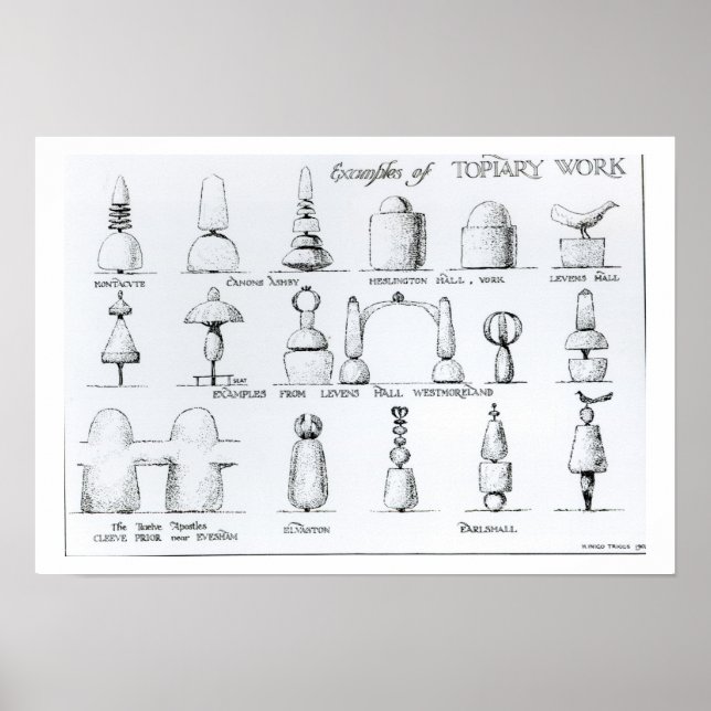 Pôster Exemplos de trabalhos de Topiary, 1902 (gravura) ( (Frente)