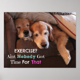 Pôster Exercício Demotivational do golden retriever