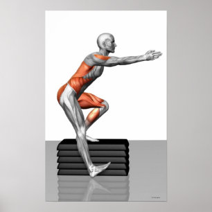 Pôster Exercícios de redução gradual