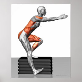 Poster Exercícios de redução gradual