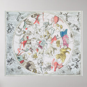 Poster Exibição celestial os sinais do zodíaco