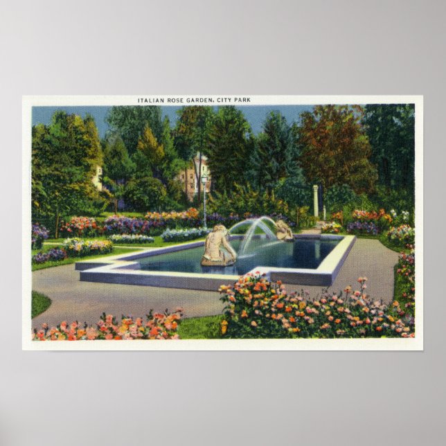 Poster Exibição de Jardim Rosa italiano do Parque da Cida (Frente)