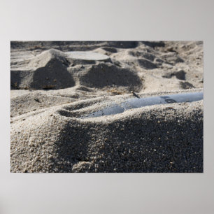 Pôster Exibição estática de uma shell de equipamento