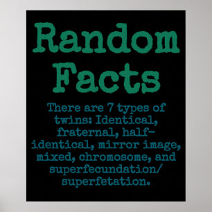 Poster Existem 7 Tipos De Gêmeos - Fato De Trívia