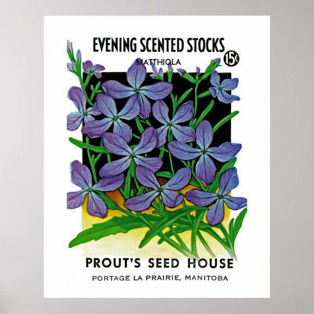 Poster Existências Censas à Noite (Frente)