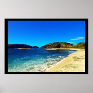 Pôster Exótico-Tropical