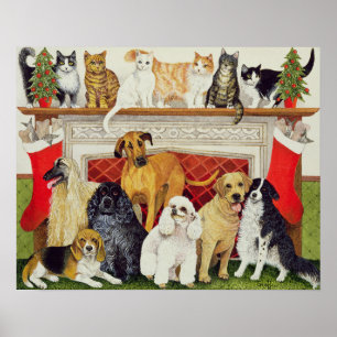 Poster Expectativas do excelente