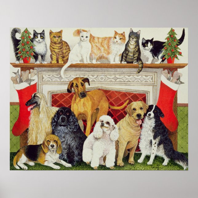 Poster Expectativas do excelente (Frente)