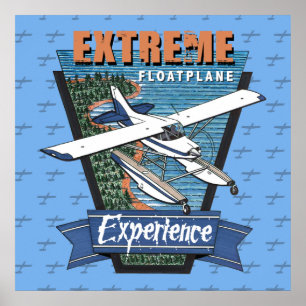 Poster Experiência de avião