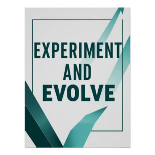 Pôster Experimentar e Evoluir opção 2