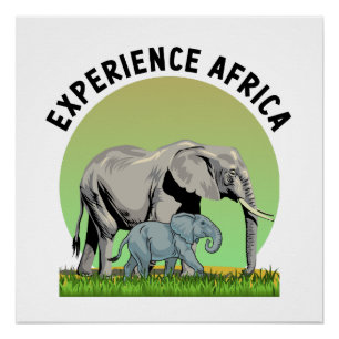 Pôster Experimente África