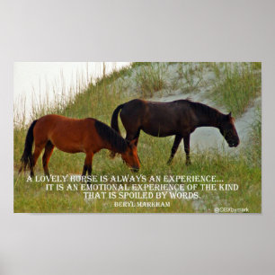 Poster experimente um cavalo