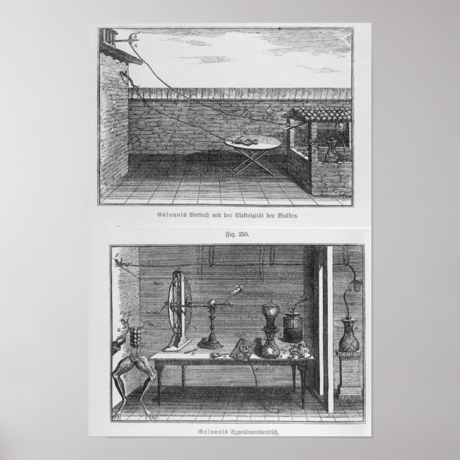 Pôster Experimento com sapos de Louis Galvani (Frente)