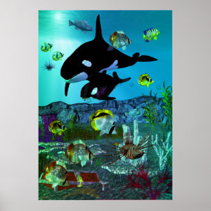 Poster Exploração 3D Aquarium ORCA