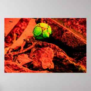 Poster explorador de mosquitos