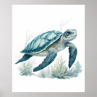 Poster Explorador de recifes de coral - Tartaruga de aqua