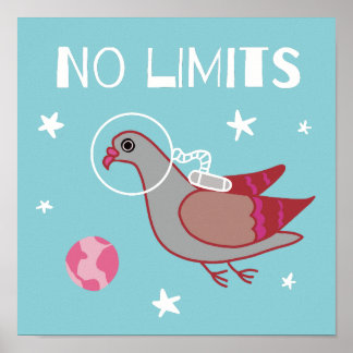 Poster Explorador espacial Pombo