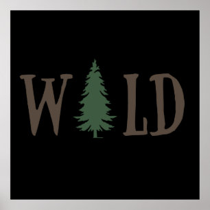 Poster explorar pinheiros em uma floresta