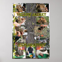 Exploratório de Jaqueta Amarela