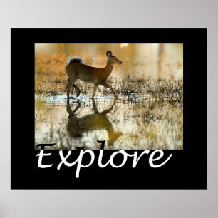 Pôster Explore